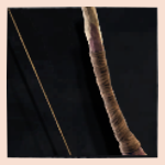 Willow Bow